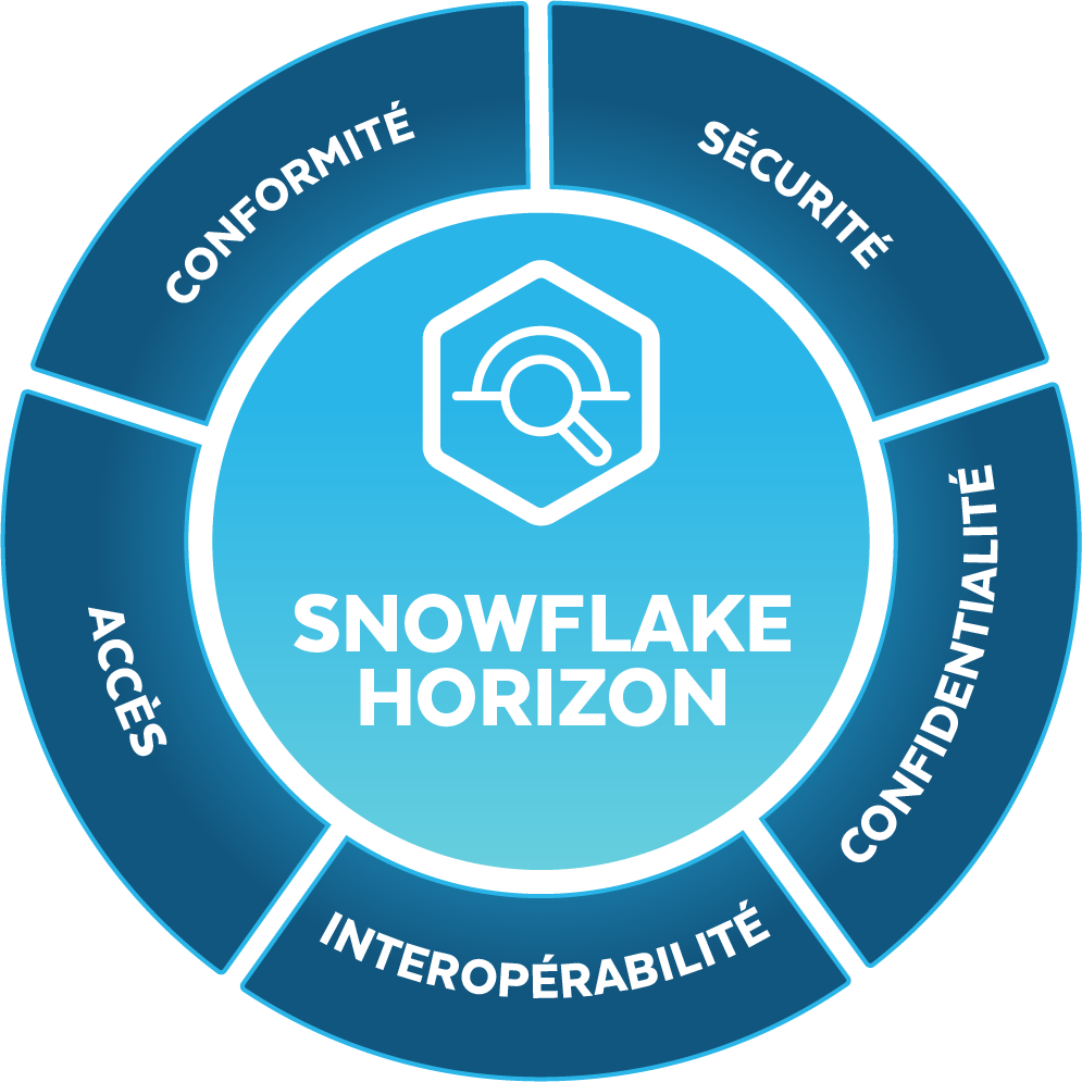 Snowflake Horizon diagram